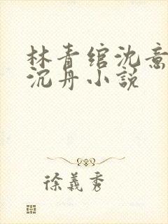 林青绾沈意欢陆沉舟小说封面