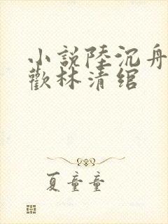 小说陆沉舟沈意欢林清绾