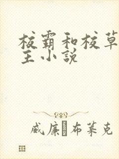 校霸和校草双男主小说