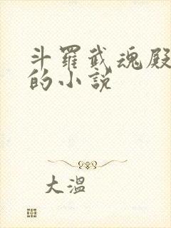 斗罗武魂殿阵营的小说封面