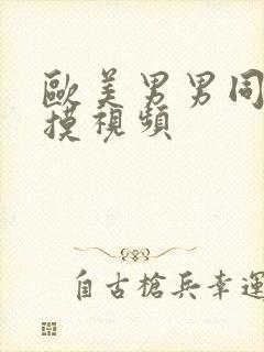 欧美男男同性互摸视频