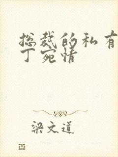 总裁的私有宝贝丁宛情