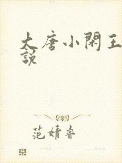 大唐小闲王 小说封面