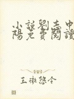 小说刘志中张宏阳免费阅读封面