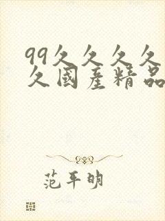 99久久久久久久国产精品
