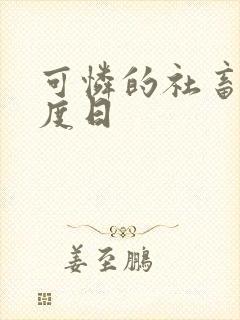 可怜的社畜 东度日