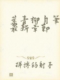 叶青柳月笔趣阁最新章节封面