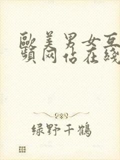 欧美男女互操视频网站在线观看封面