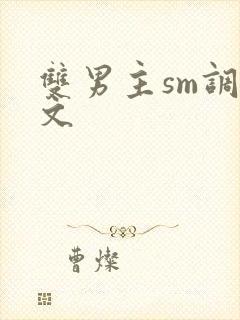 双男主sm调教文