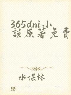 365dni小说原著免费阅读封面