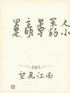 男主是军人女主是明星的小说封面