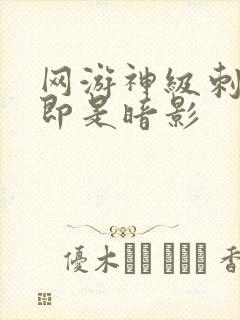 网游神级刺客我即是暗影封面