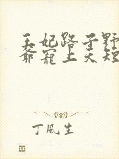 王妃路子野,王爷宠上天短剧