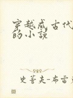 穿越成古代老头的小说