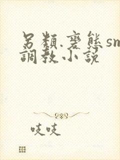 另类.变态sm调教小说封面