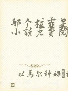 那个校霸是我的小说免费阅读