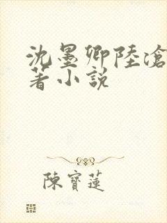 沈墨卿陆沧鸣原著小说