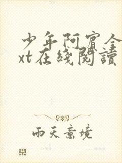 少年阿宾全集txt在线阅读