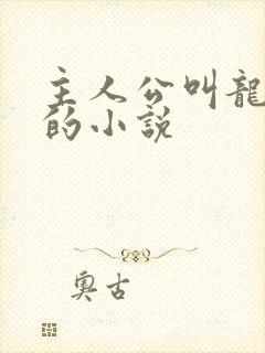 主人公叫龙傲天的小说封面