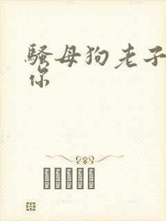 骚母狗老子操死你