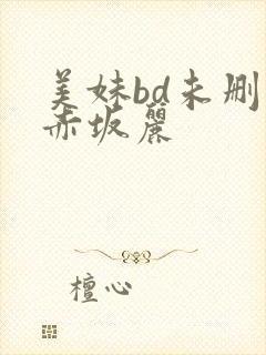 美妹bd未删减赤坂丽