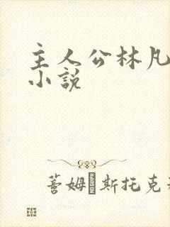 主人公林凡叶惜小说