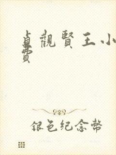 贞观贤王小说免费