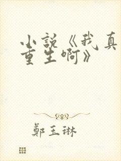 小说《我真没想重生啊》