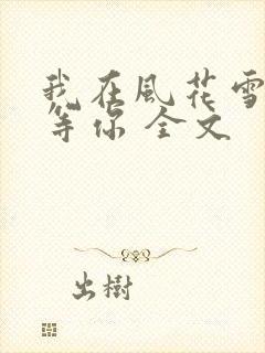 我在风花雪月中等你 全文