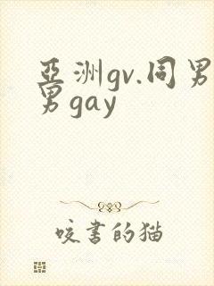 亚洲gv.同男男gay