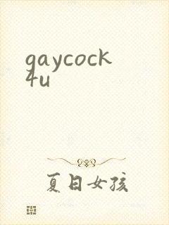 gaycock4u