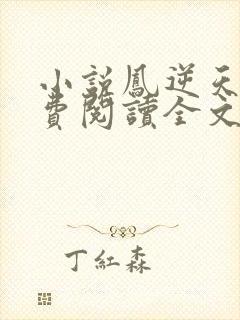 小说凤逆天下免费阅读全文封面