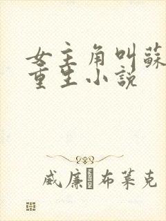 女主角叫苏离的重生小说