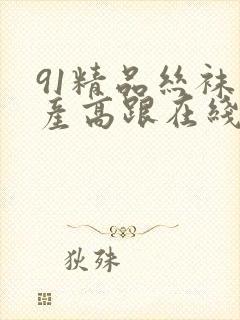 91精品丝袜国产高跟在线