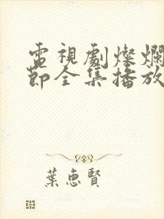 电视剧灿烂的季节全集播放免费观看