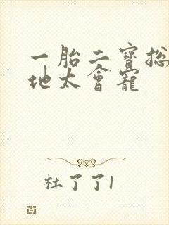 一胎二宝总裁爹地太会宠