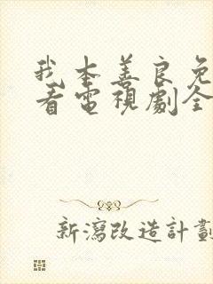 我本善良免费观看电视剧全集粤语封面