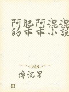 阿肥阿混混和他的乖乖小说免费阅读封面