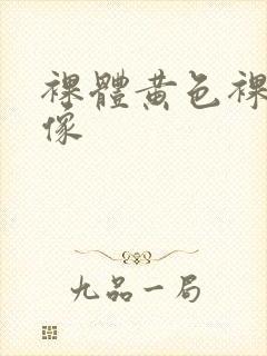 裸体黄色裸体录像封面