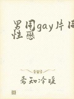 男同gay片同性恋