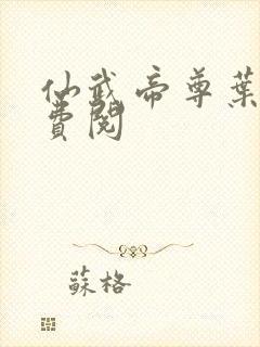 仙武帝尊叶辰免费阅