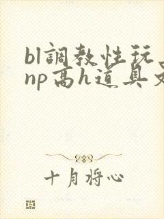 bl调教性玩具np高h道具文