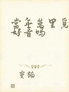 当年万里觅封侯好看吗