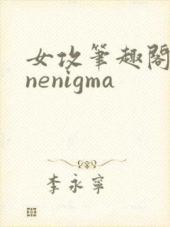 女攻笔趣阁1/nenigma