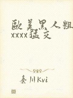 欧美黑人粗大xxxxx猛交封面