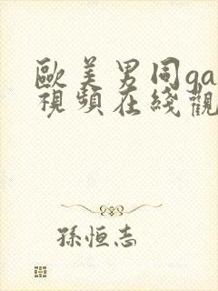 欧美男同gay视频在线观看