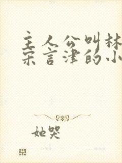 主人公叫林清妍宋言津的小说