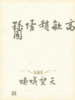 孙倩赵敏高义大团