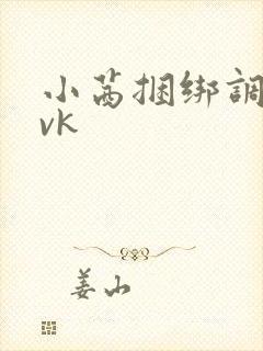 小茜捆绑调教丨vk封面