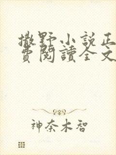 撒野小说正版免费阅读全文无删减封面